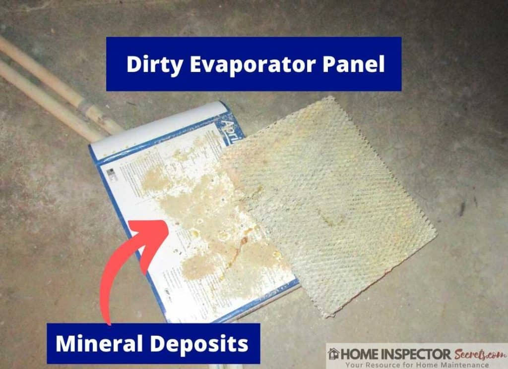 Steam Vs Evaporative Whole House Humidifier (2025 Guide)